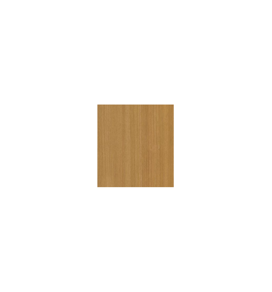 PELLICOLA LEGNO COVERSTYL CT22 HONEY BIRCH