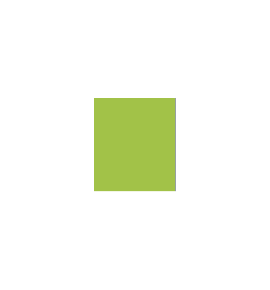 PELLICOLA COVERSTYLE -M5 VIBRANT GREEN
