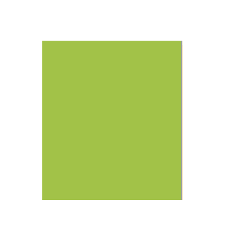 PELLICOLA COVERSTYLE -M5 VIBRANT GREEN