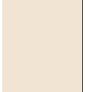PELLICOLA COVERSTYLE -N3 PORCELAIN