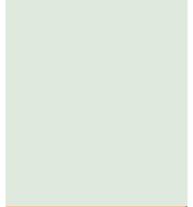 PELLICOLA COVERSTYLE -NE54 CLEAN MINT