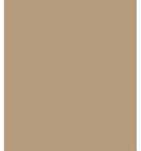 PELLICOLA COVERSTYLE -NE55 CAFFE LATTE