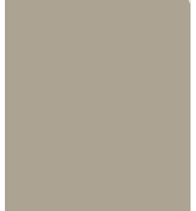 PELLICOLA COVERSTYLE -NE78 CORD