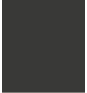 PELLICOLA COVERSTYLE -NE80 GRAPHITE