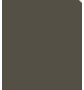 PELLICOLA COVERSTYLE -NE82 FOSSIL GREY