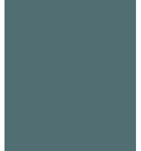 PELLICOLA COVERSTYLE -NF06 BLUES