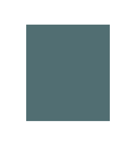 PELLICOLA COVERSTYLE -NF06 BLUES
