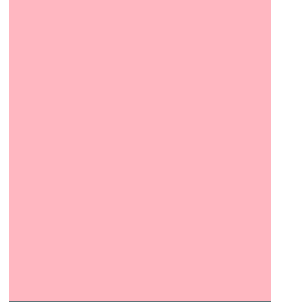 PELLICOLA COVERSTYLE -NF07 PINK FLAMINGO