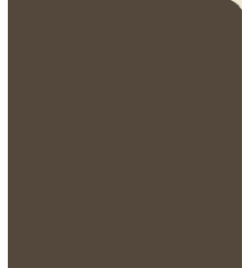 PELLICOLA COVERSTYLE -NF09 CACAO
