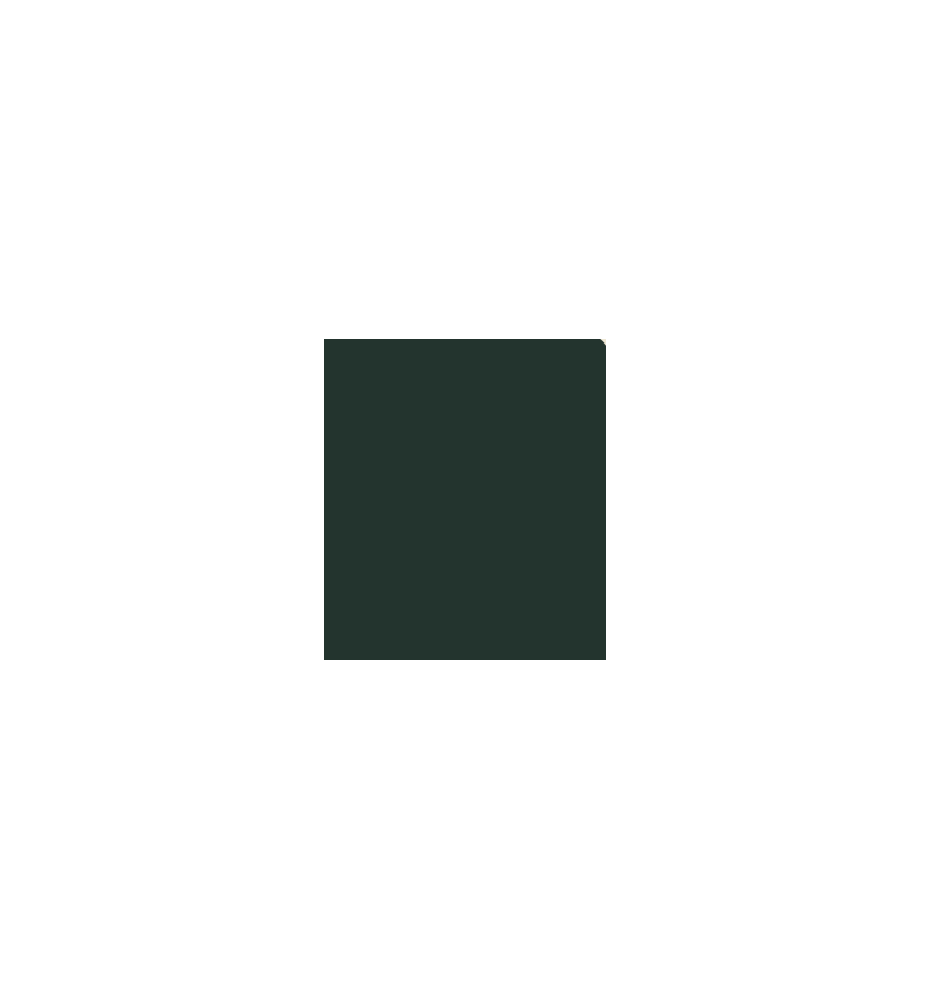 PELLICOLA COVERSTYLE -NF13 DEEP GREEN