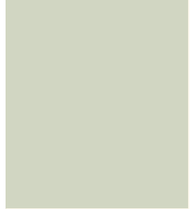 PELLICOLA COVERSTYLE -NH05 PISTACHIO GREEN