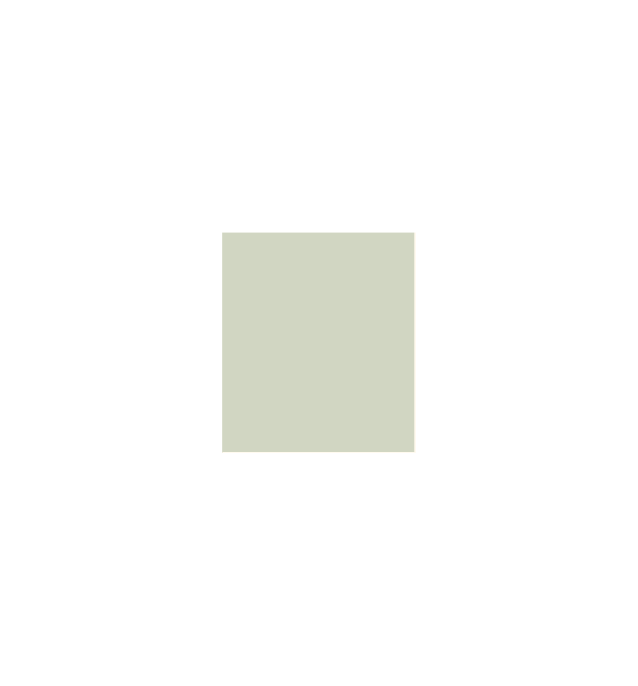 PELLICOLA COVERSTYLE -NH05 PISTACHIO GREEN