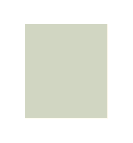 PELLICOLA COVERSTYLE -NH05 PISTACHIO GREEN