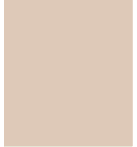 PELLICOLA COVERSTYLE -NH06 ROSE SAND