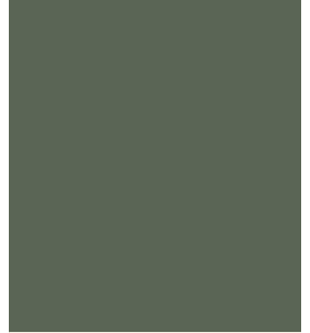 PELLICOLA COVERSTYLE -NH08 FOREST GREEN
