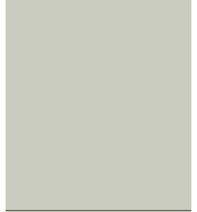 PELLICOLA COVERSTYLE -NH21 SOFT GREEN