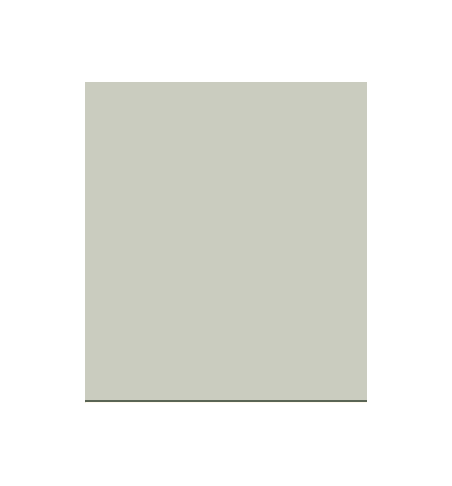 PELLICOLA COVERSTYLE -NH21 SOFT GREEN