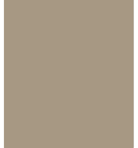 PELLICOLA COVERSTYLE -NH28 DRY BRANCH