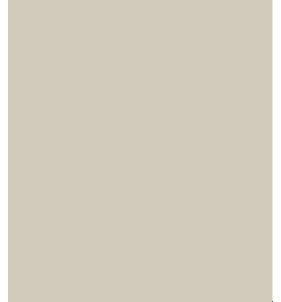 PELLICOLA COVERSTYLE -RM02 PEARL GREY