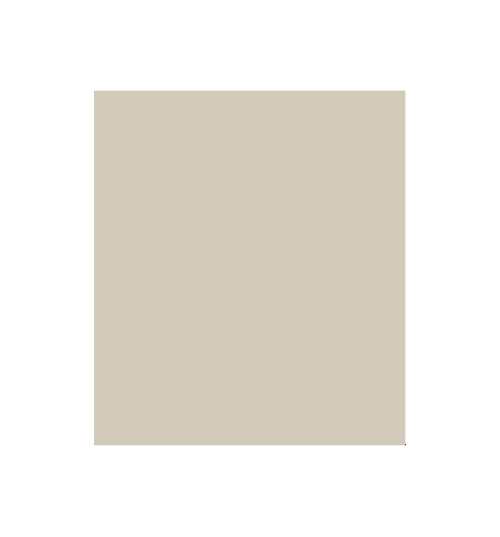 PELLICOLA COVERSTYLE -RM02 PEARL GREY
