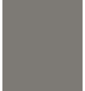 PELLICOLA COVERSTYLE -RM03 LEAD GREY