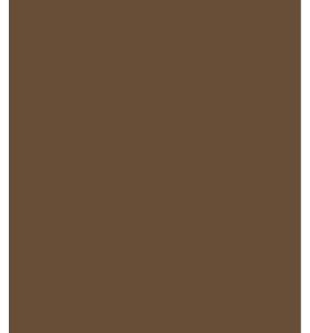 PELLICOLA COVERSTYLE -RM04 BROWN CHOCOLATE