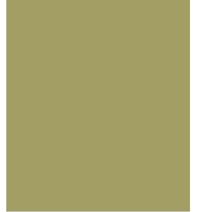 PELLICOLA COVERSTYLE -RM19 OLIVE GREEN