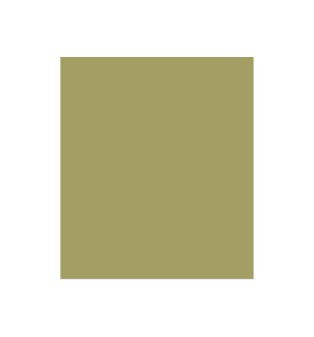 PELLICOLA COVERSTYLE -RM19 OLIVE GREEN
