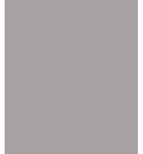 PELLICOLA COVERSTYLE -RM27 LUNAR SURFACE