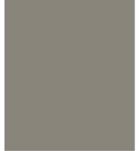 PELLICOLA COVERSTYLE -RM28 ASPHLT GREY