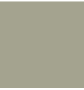 PELLICOLA COVERSTYLE -RM30 PASTEL OLIVE GREEN