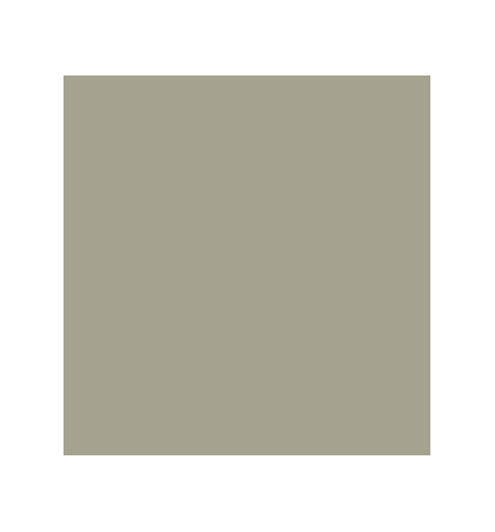 PELLICOLA COVERSTYLE -RM30 PASTEL OLIVE GREEN